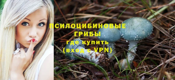 бошки Усмань