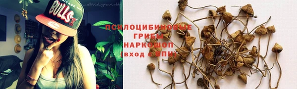 мдма Горно-Алтайск