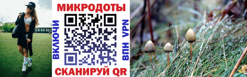 Псилоцибиновые грибы Magic Shrooms  Северск 